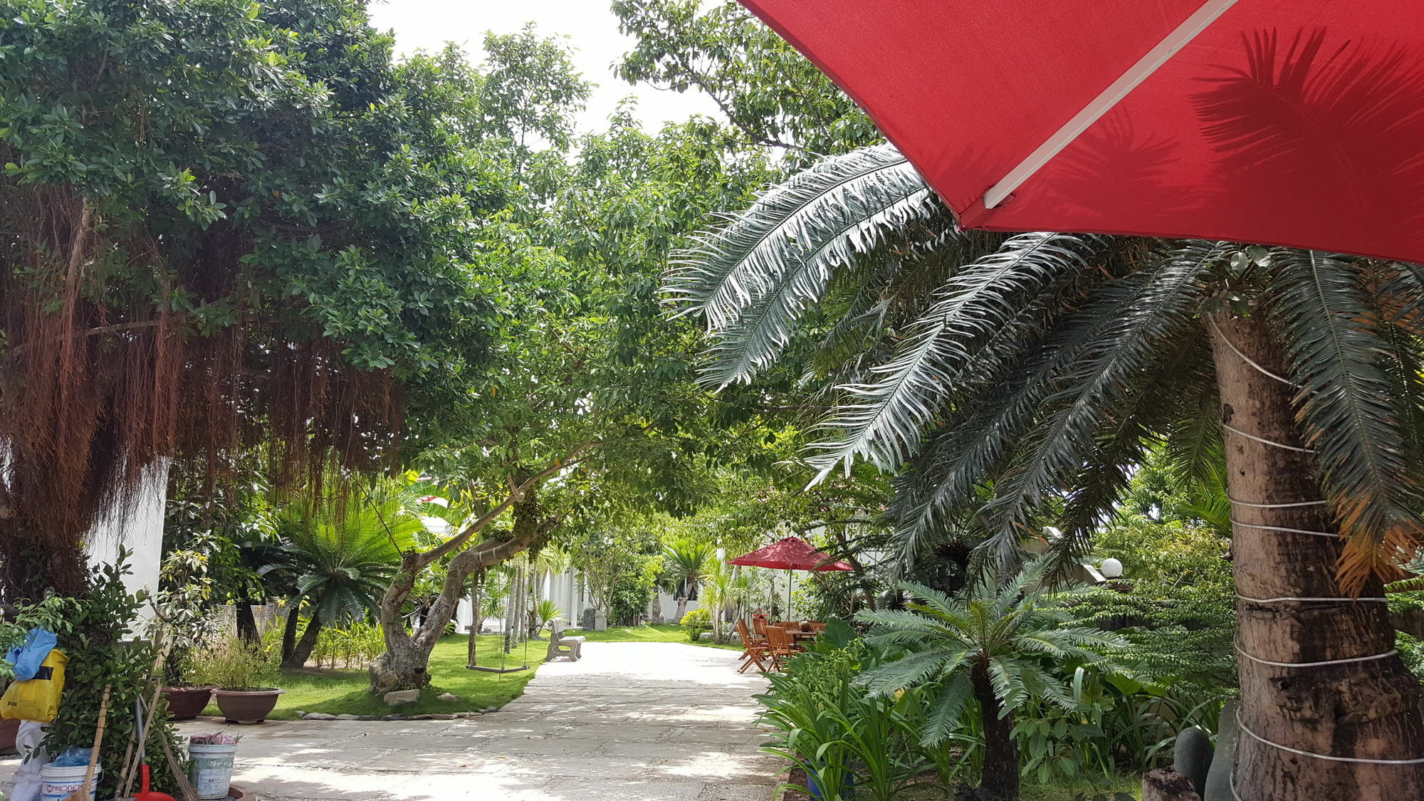 Dragon Bay Hotel Cam Lam Buitenkant foto